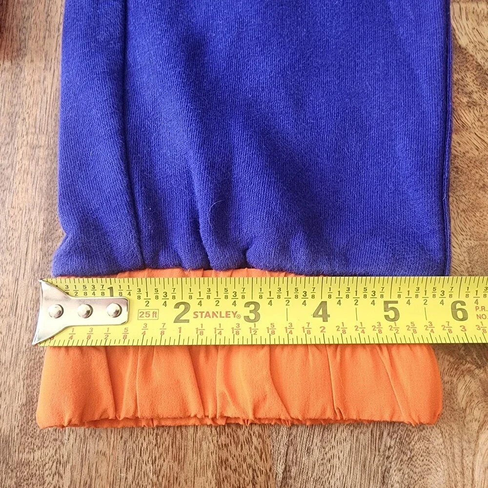 The North Face Rage Pants Mens Medium Blue Fleece Joggers Hiking Colorblock